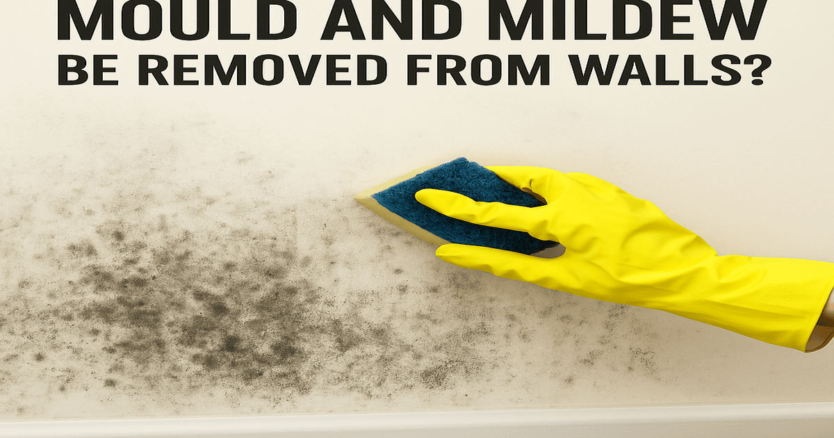 How Can Mould and Mildew Be Removed From Walls?