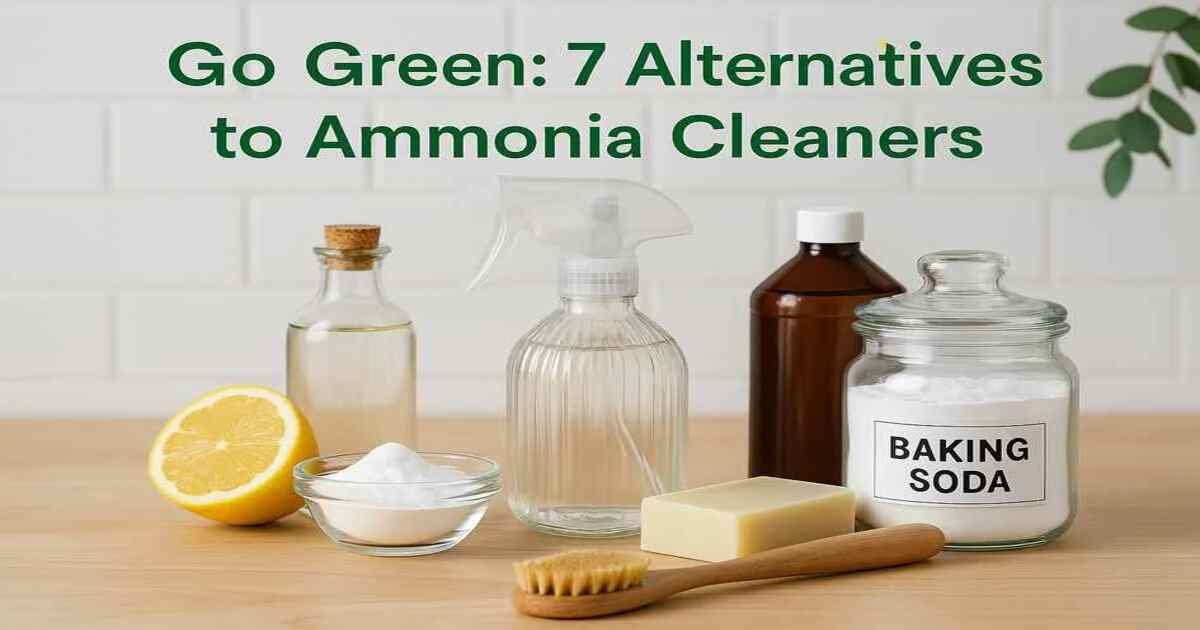 Go Green: 7 Alternatives to Ammonia Cleaners